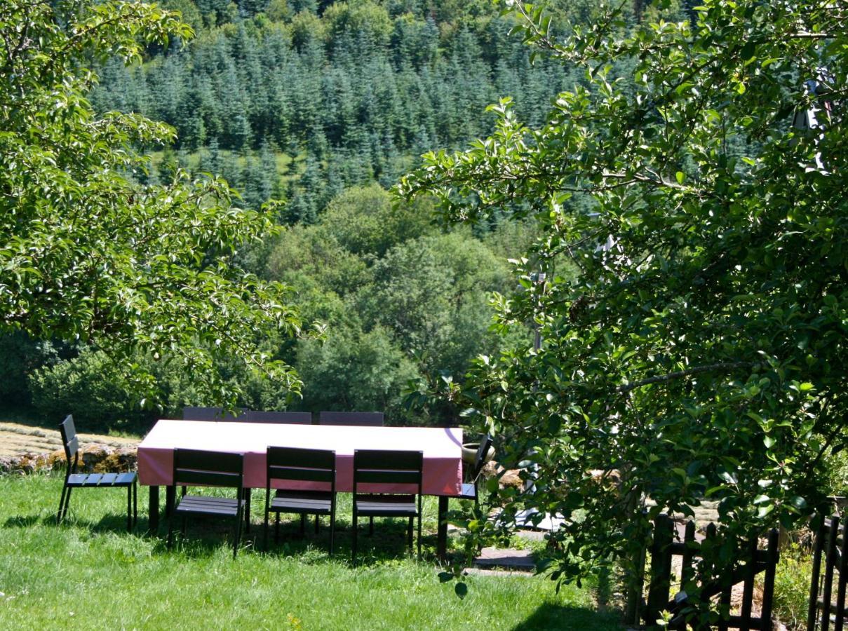 Appartement Eifel Rebeige Gerolstein à Kopp Extérieur photo